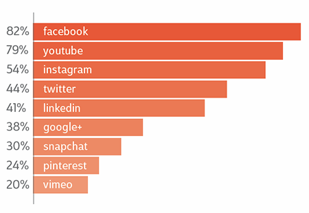 social media platform usage 2018